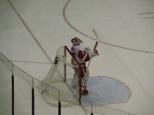 Detroit Red Wings Goldie Jimmy Howard