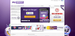 Sky Bingo Homepage